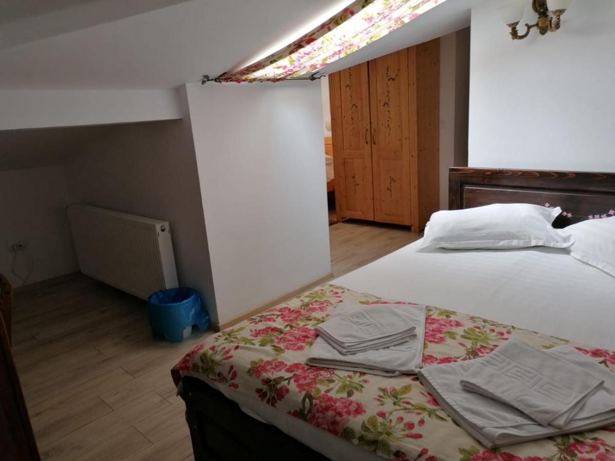 Pensiunea Geostar Maison d'hôtes 3*
