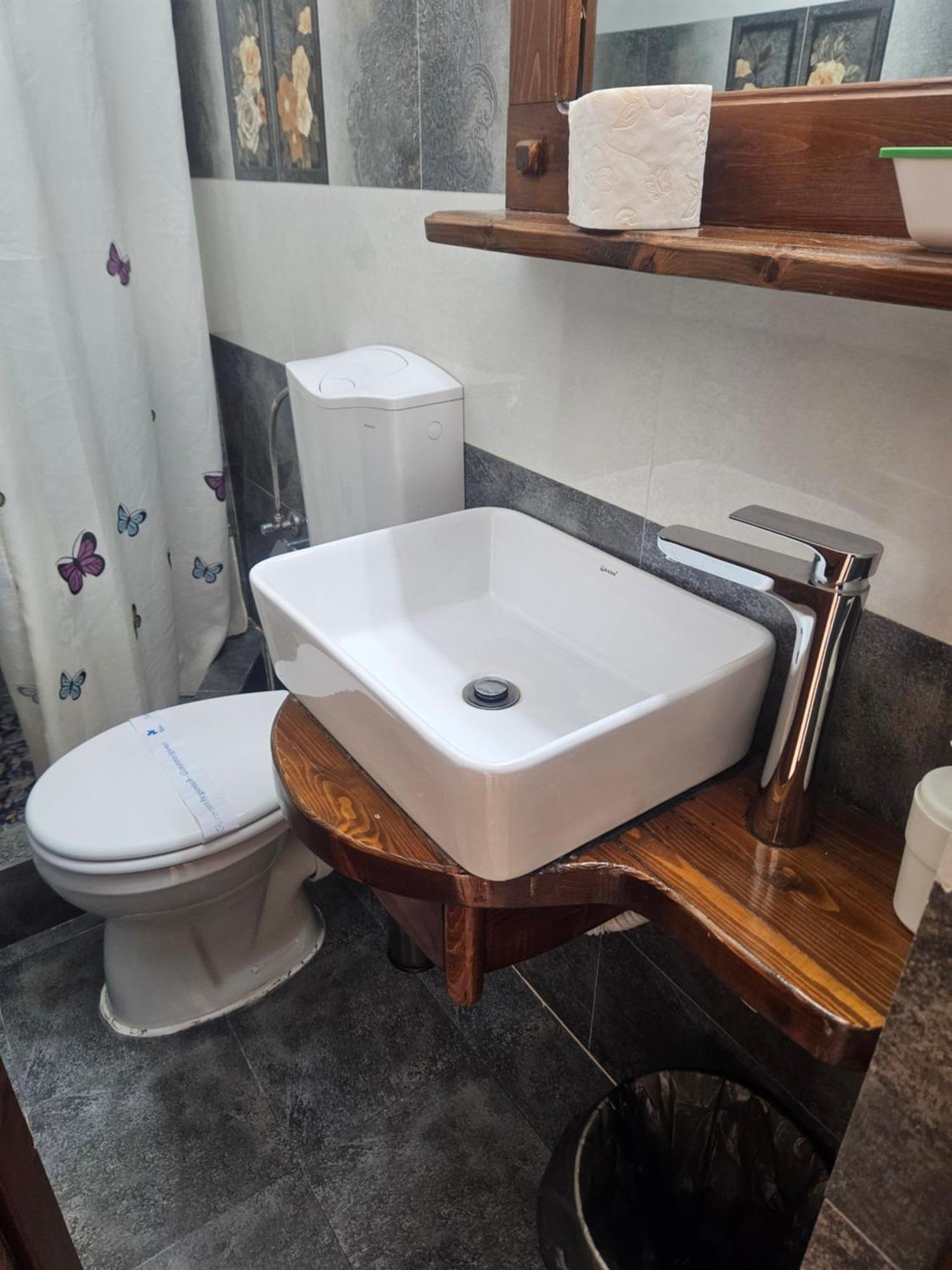 Pensiunea Geostar Maison d'hôtes 3*