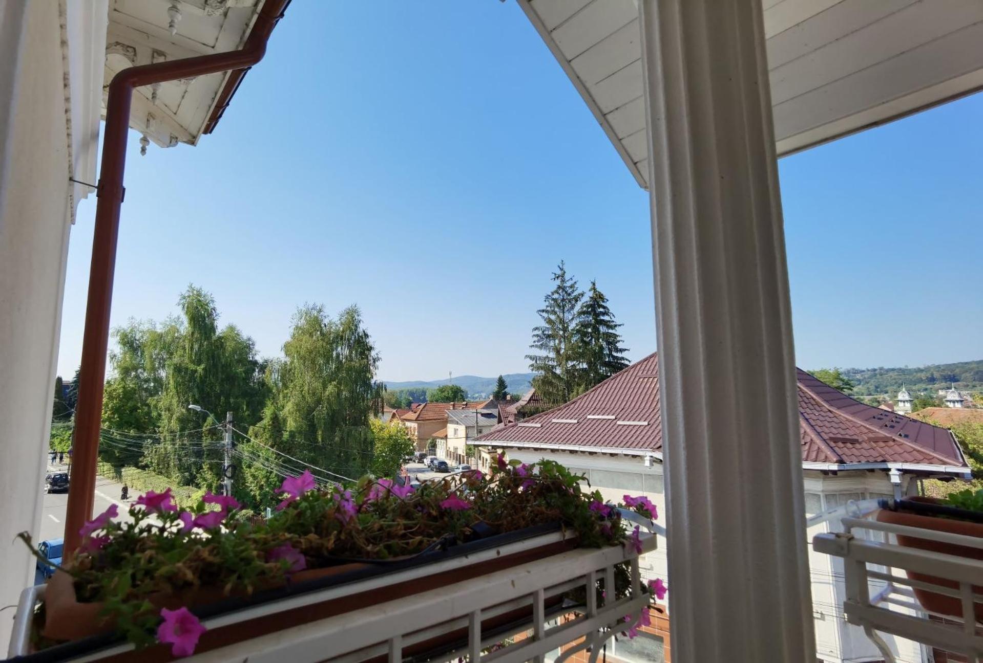 Maison d'hôtes Pensiunea Geostar Curtea de Argeş