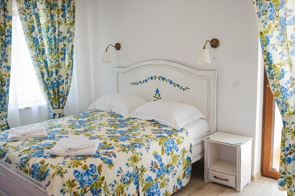 Pensiunea Geostar Maison d'hôtes Curtea de Argeş