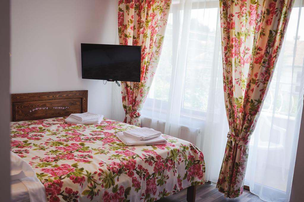 Pensiunea Geostar Maison d'hôtes Curtea de Argeş