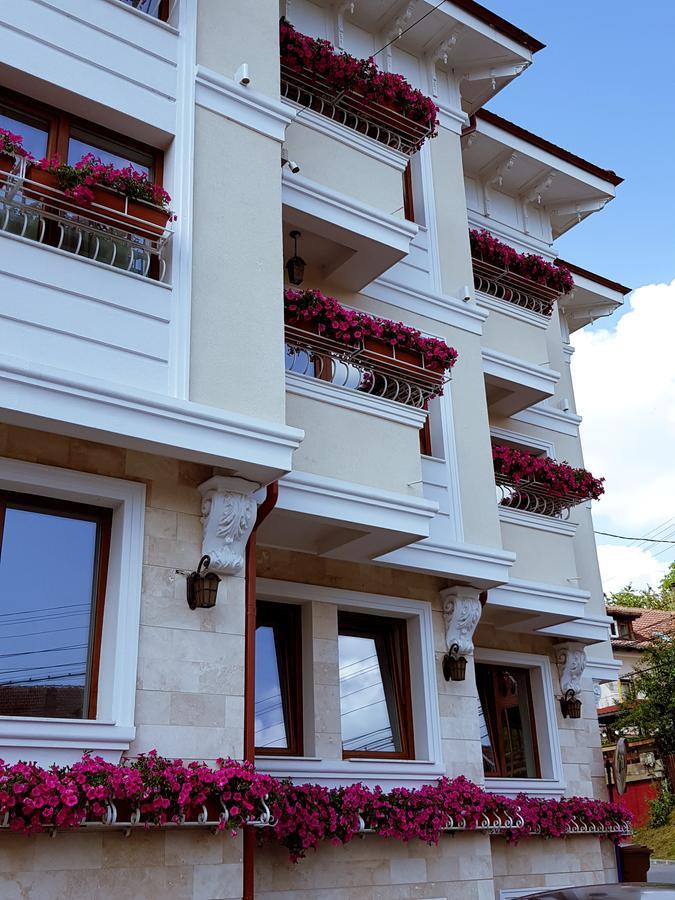 Pensiunea Geostar Maison d'hôtes Curtea de Argeş