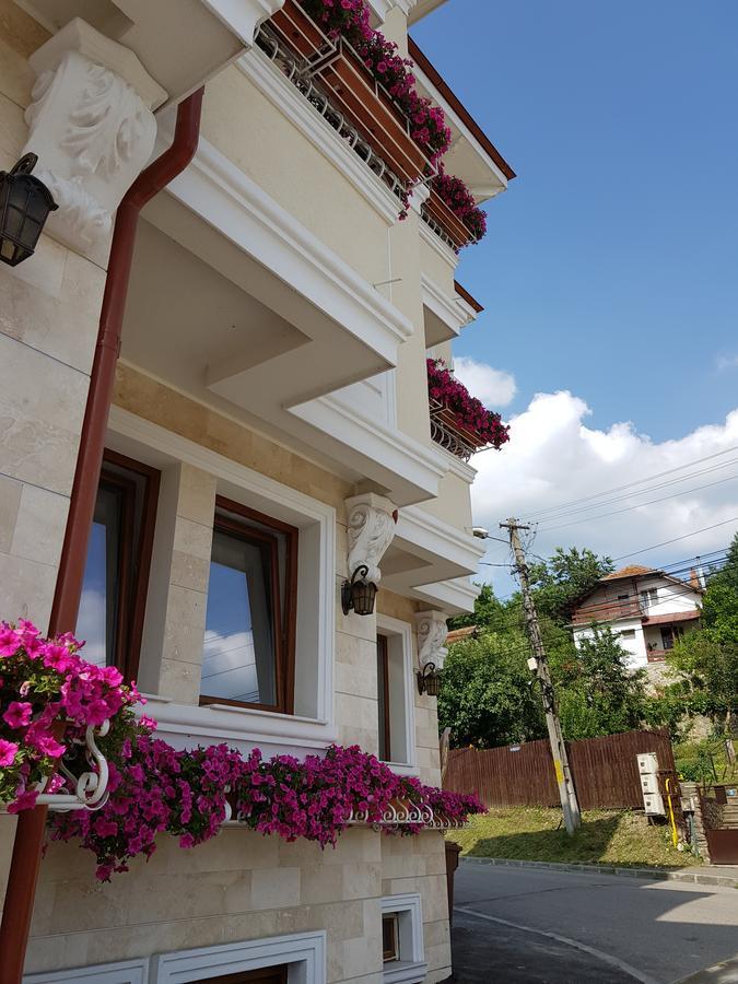 Pensiunea Geostar Curtea de Argeş