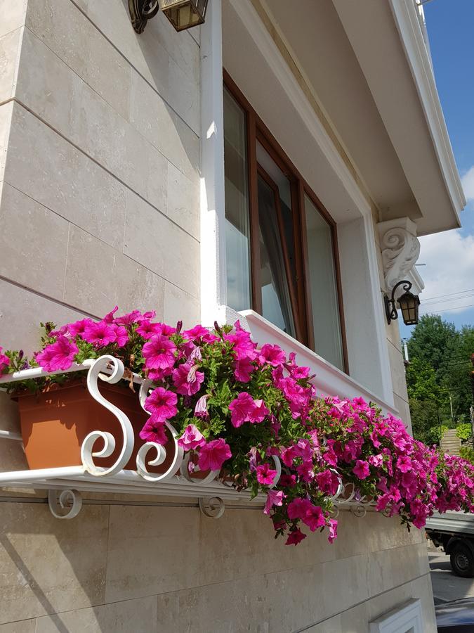 Pensiunea Geostar Maison d'hôtes