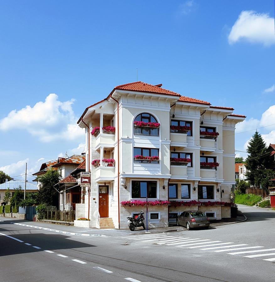 Pensiunea Geostar Maison d'hôtes Curtea de Argeş